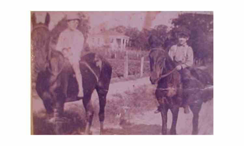 barnette_malcom_mule